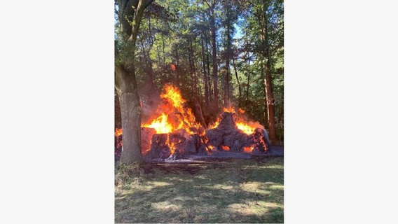 Heuballen brennen direkt neben einem Wald. © Polizeiinspektion Rotenburg 