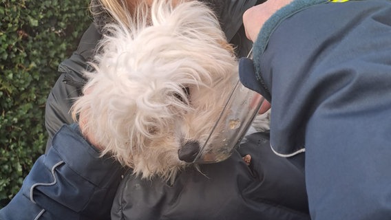 Ein Hund sitzt auf einem Arm, nachdem er aus einem Altkleidercontainer in Sillenstedt gerettet wurde. © Freiwillige Feuerwehr Schortens 