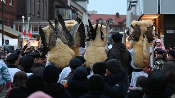 Viele Menschen folgen verkleideten Menschen bei einem Fest. © dpa-Bildfunk Foto: Lars Penning