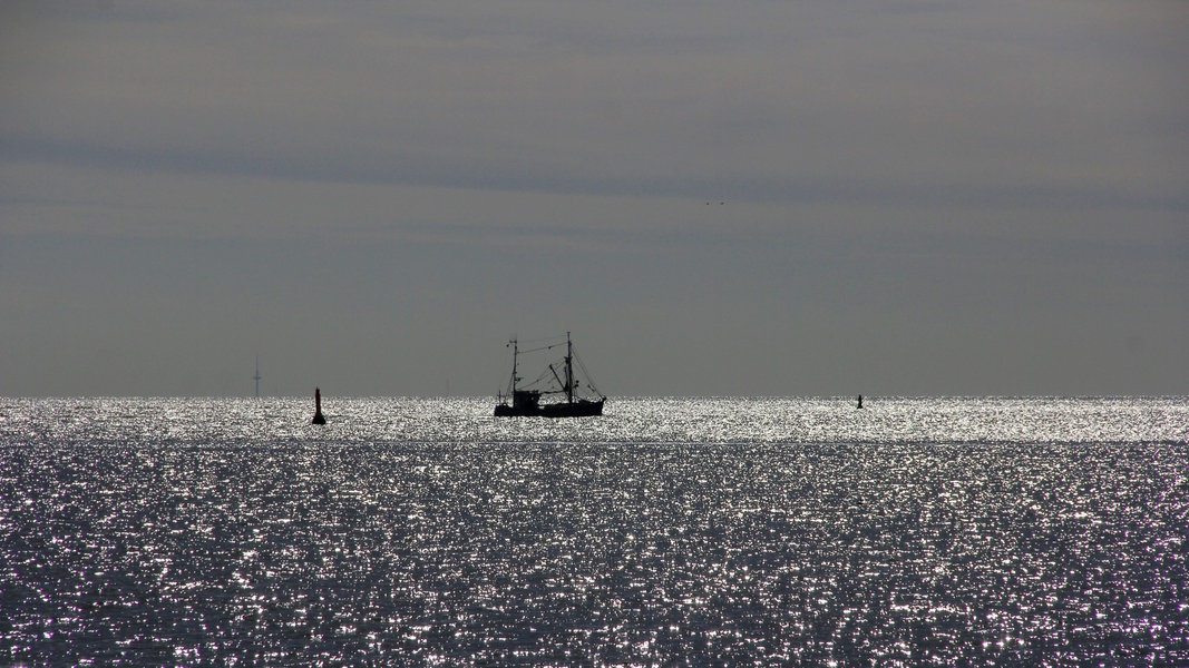 Ein Krabbenkutter fährt auf der Nordsee.