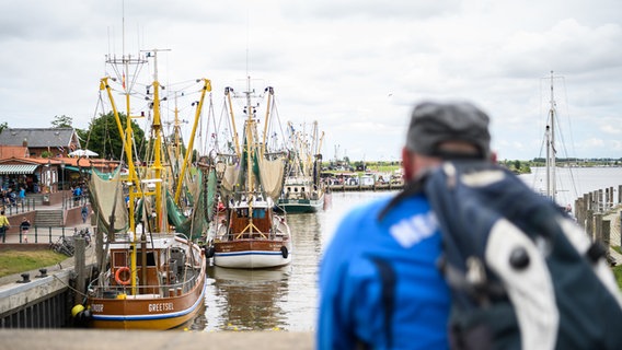 Ein Mann schaut sich beim Kutterkorso die Kutter im Greetsieler Hafen an. © dpa-Bildfunk Foto: Mohssen Assanimoghaddam/dpa