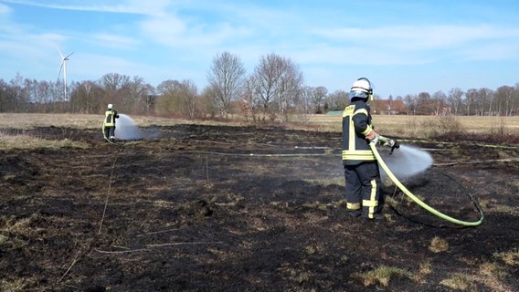 Feuerwehrleute löschen einen Flächenbrand in einem Moorgebiet. © TeleNewsNetwork 