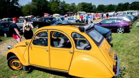 Ein Citroën 2CV, auch bekannt als Ente, und zahlreiche weitere Oldtimer stehen beim Bockhorner Oldtimermarkt auf einer Wiese. © Hauke-Christian Dittrich/dpa Foto: Hauke-Christian Dittrich