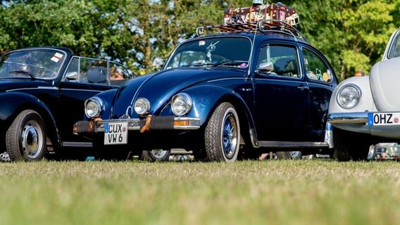 Ein Volkswagen Käfer steht beim Bockhorner Oldtimermarkt auf einer Wiese. © Hauke-Christian Dittrich/dpa Foto: Hauke-Christian Dittrich