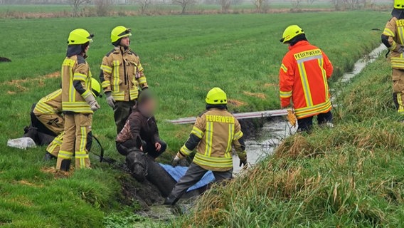 Rettungskräfte stehen an einem Graben im Ammerland, in dem ein Pferd liegt. © NonstopNews 