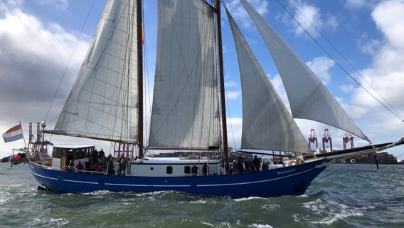 Segelschiffe beim Sailing Cup in Wilhelmshaven. © NDR Foto: Jutta Przygoda