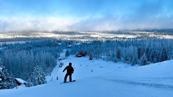 Schnee auf dem Sonnenberg im Harz. Ein Snowboardfahrer fährt einen Hang hinab. © NDR Foto: Christina Herz