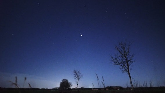 Eine Sternschnuppe fliegt am Himmel entlang. © TeleNewsNetwork 