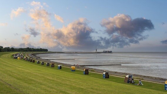 Beach baskets are on the Grimmershörner Bay green beach in Cuxhaven.  © picture alliance / Zoonar Photo: Jürgen Wackenhut