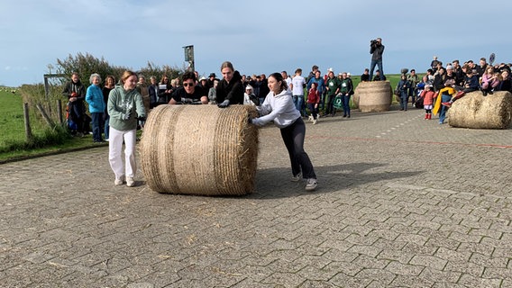 Eine Gruppe rollt einen Strohballen bei einem Wettbewerb. © NDR Foto: Anna Schlieter