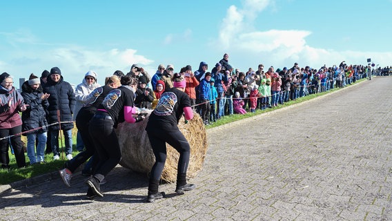 Der Strohballen wird von einem Frauenteam den Deich hinaufgerollt. Zahlreiche Zuschauer verfolgen die 13. Ostfriesische Strohballen-Rollmeisterschaft, bei der Männer-, Frauen- und Mixed-Teams um den Titel "Strohballen-Rollmeister 2024" wetteifern. © Lars Penning/dpa Foto: Lars Penning