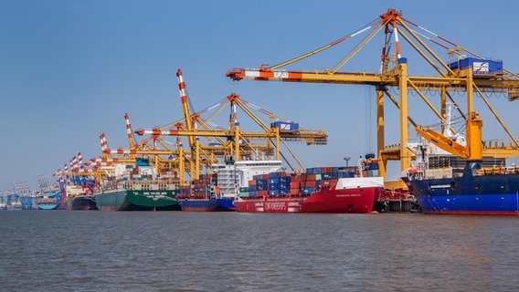 Schiffe stehen an einem Containerportal. © picture alliance / imageBROKER Foto: Günter Gräfenhain
