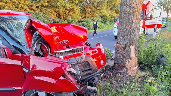 Ein Pkw steht nach einem Unfall vor einem Baum. © Nord-West-Media TV 