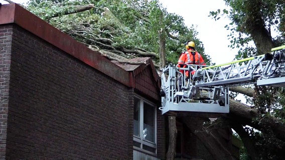 Bei einem Sturm ist ein Baum auf ein Haus in Oldenburg gefallen. © NonstopNews 