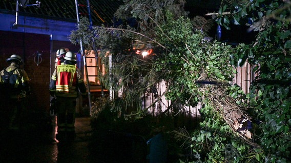 Ein Baum ist in Leer auf ein Reihenhaus gestürzt. © dpa-Bildfunk Foto: Lars Penning