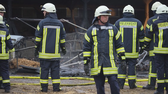 Feuerwehrleute stehen auf einem landwirtschaftlichen Hof auf dem ein Feuer mehrere Schweine und Ferkel getötet hat. © Nord-West-Media TV 