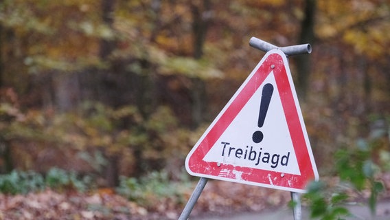 Ein Warnschild mit der Aufschrift "Treibjagd" steht an einem Wegesrand. © picture alliance/dpa Foto:  Sebastian Willnow