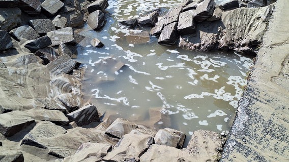 Eine kaputte Wasserleitung in Wilhelmshaven. © Nord-West-Media TV 