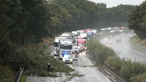 Ein umgestürzter Baum blockiert eine Fahrbahn. © Nord-West-Media TV 