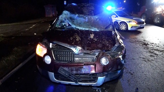 Ein Auto steht nach einer Kollision mit einem Pferd an einer Straße. © NonstopNews 