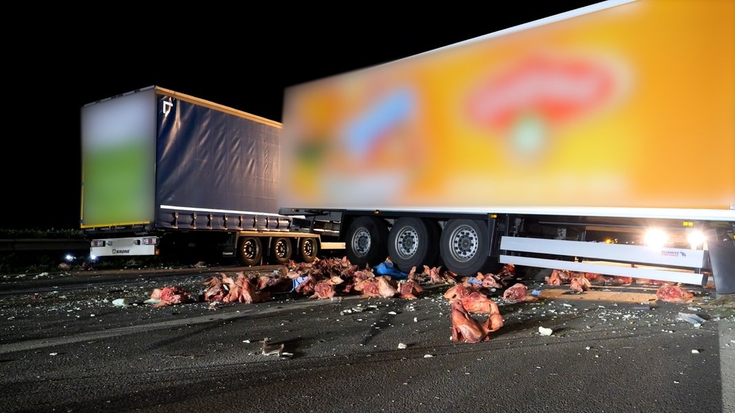 Schweineköpfe liegen nach einem Unfall mit zwei Lkw auf der A27.