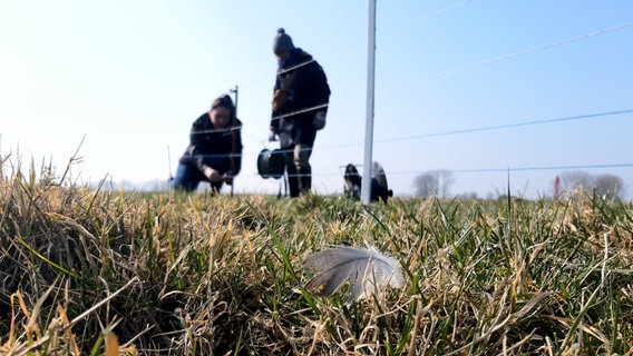 Zäune werden von mehreren Personen um ein Feld gezogen. © NDR Foto: Lotti Höfer