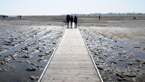 Menschen laufen auf einem Steg im Watt © Ingo Wagner 