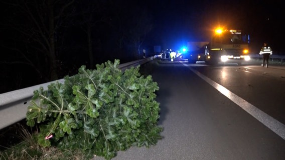 Ein Nadelbaum liegt auf der A28 bei Filsum (Landkreis Leer). Mehrere Bäume waren nach einem Unfall auf die Fahrbahn gefallen. © NonstopNews 