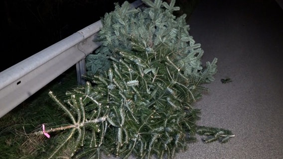 Ein Weihnachtsbaum liegt auf der A28 bei Filsum (Landkreis Leer). Mehrere Bäume waren nach einem Unfall auf die Fahrbahn gefallen. © NonstopNews 