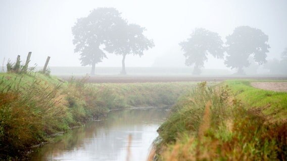 Ein Fluss. Im Hintergrund in Nebel gehüllte Bäume. © dpa-Bildfunk/Hauke-Christian Dittrich Foto: Hauke-Christian Dittrich