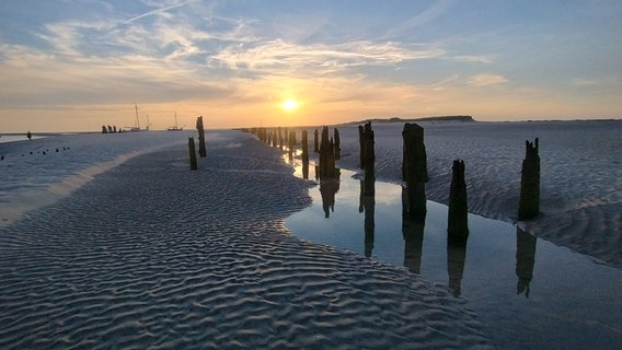 Die Sonne geht über einem Strand auf Wangerooge unter. © NDR Foto: Marion Faustmann