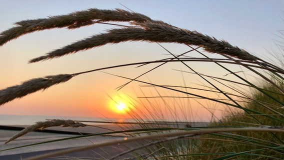 Sonnenuntergang auf Borkum © NDR Foto: Sonja Wessels