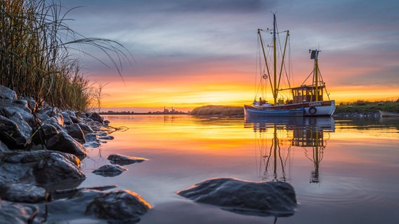 Der Kutter "Diana" auf der Ems bei Terborg (Landkreis Leer/Ostfriesland) kurz nach Sonnenuntergang. © NDR Foto: Thomas Heyen