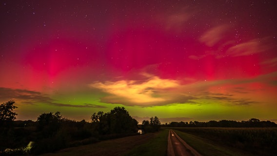 Polarlichter am Himmel © NDR Foto: Wencke Iburg