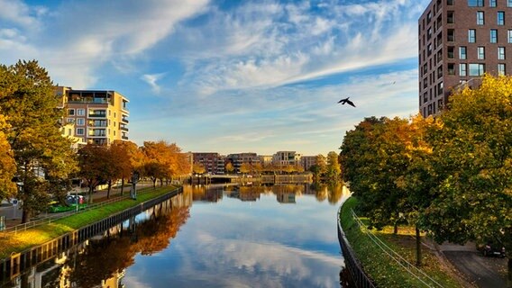 Blick von der Oldenburger Amalienbrücke auf die Hunte am Morgen © NDR Foto: Sandra Bittner-Hellbernd