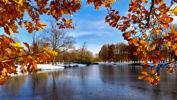 Blick in den verschneiten Stadtpark in Papenburg. © NDR Foto: Arnold Lind