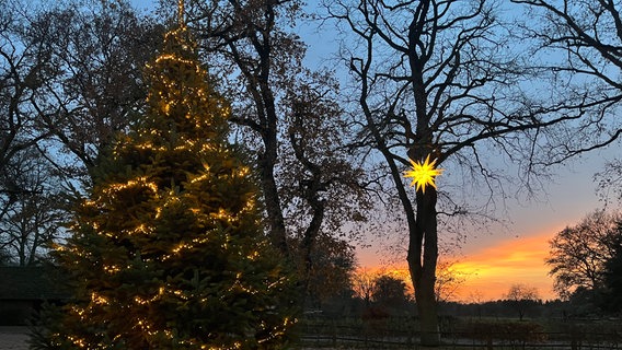 Der Weihnachtsbaum mit Lichterkette und ein Stern der Dorfgemeinschtschaft Ostrittrum im Sonnenuntergang © NDR Foto: Anne Hollmann