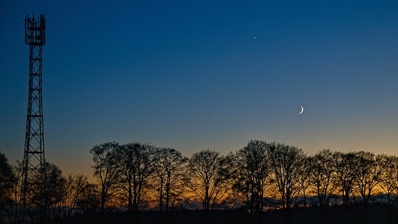 Venus und Mond sind am Himmel über eine Baumgruppe bei Syke zu sehen. © NDR Foto: Wolfram Guder