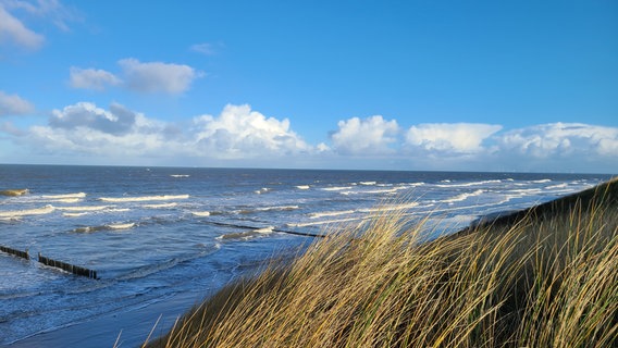 Dünen und Nordsee auf Wangerooge, aufgenommen an in einem sonnigen Augenblick. © NDR Foto: Lukas Olivieri