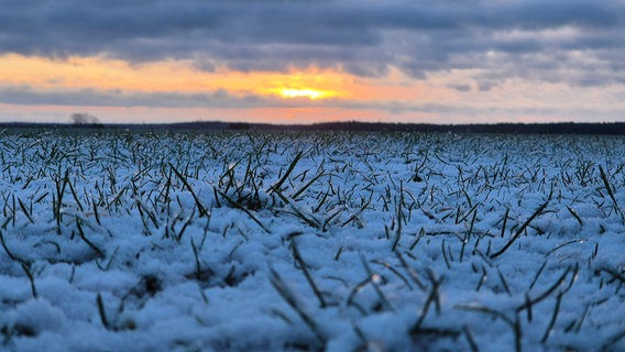 Ein Hauch von Winter am Morgen an der Küste. © NDR Foto: Dirk Wenzel