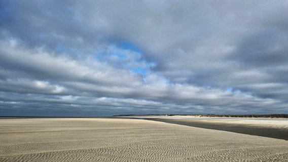 Die Sonne scheint auf eine Sandbank am Weststrand von Langeoog. © NDR Foto: Martin Sprötge