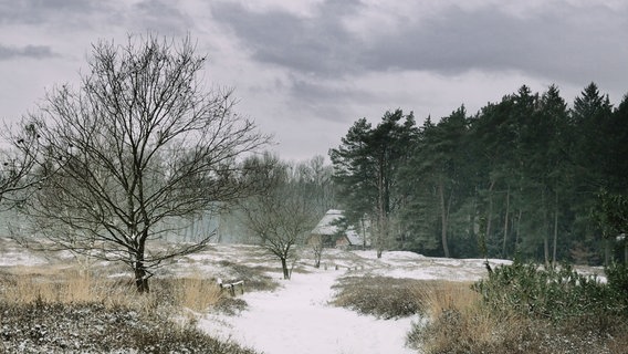 Das winterliche Pestruper Gräberfeld bei Wildeshausen © NDR Foto: Dorothea Jacob