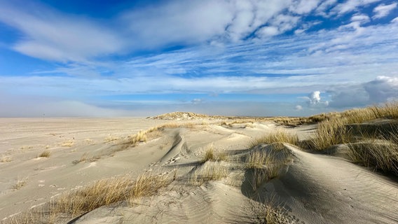 Eine Dünenlandschaft am Strand von Spiekeroog unter blauem Himmel. © NDR Foto: Anja Niehaus