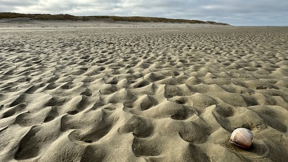 Der Sand am Strand von Langeoog gleicht einer Hügellandschaft. © NDR Foto: Meike Wagner