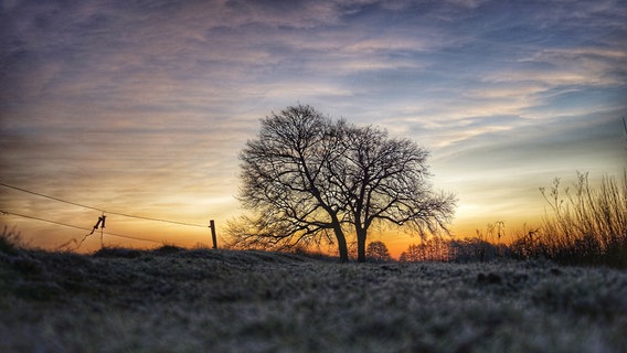 Ein frostiger Sonnenaufgang in Emlichheim © NDR Foto: Jens Ballmann