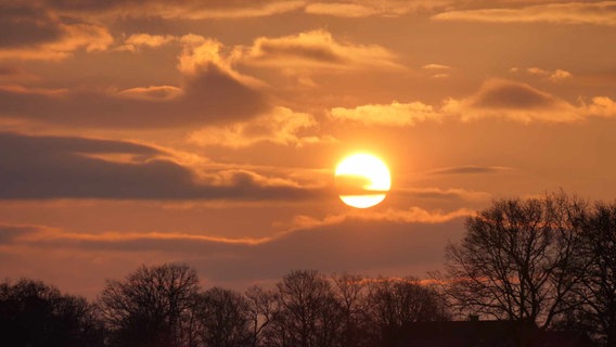 Sonnenaufgang in Wiefelstede. © NDR Foto: Anke Meinardus