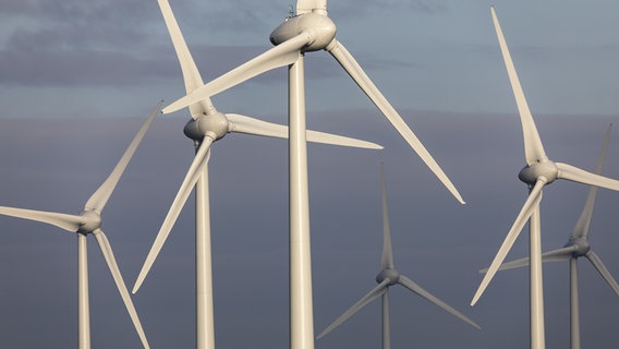 Windpark in Ostfriesland beim Ort Holtgast. © picture alliance Foto: Jochen Tack