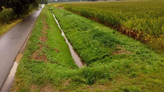 Ein Wassergraben in Barenburg, in dem die Leiche einer 17-Jährigen entdeckt wurde. © Nord-West-Media TV 