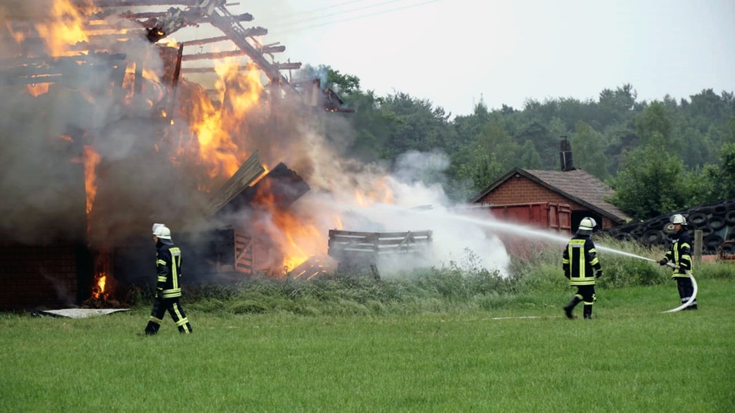 15 Tiere verbrennen bei Feuer in Rinderstall NDR.de