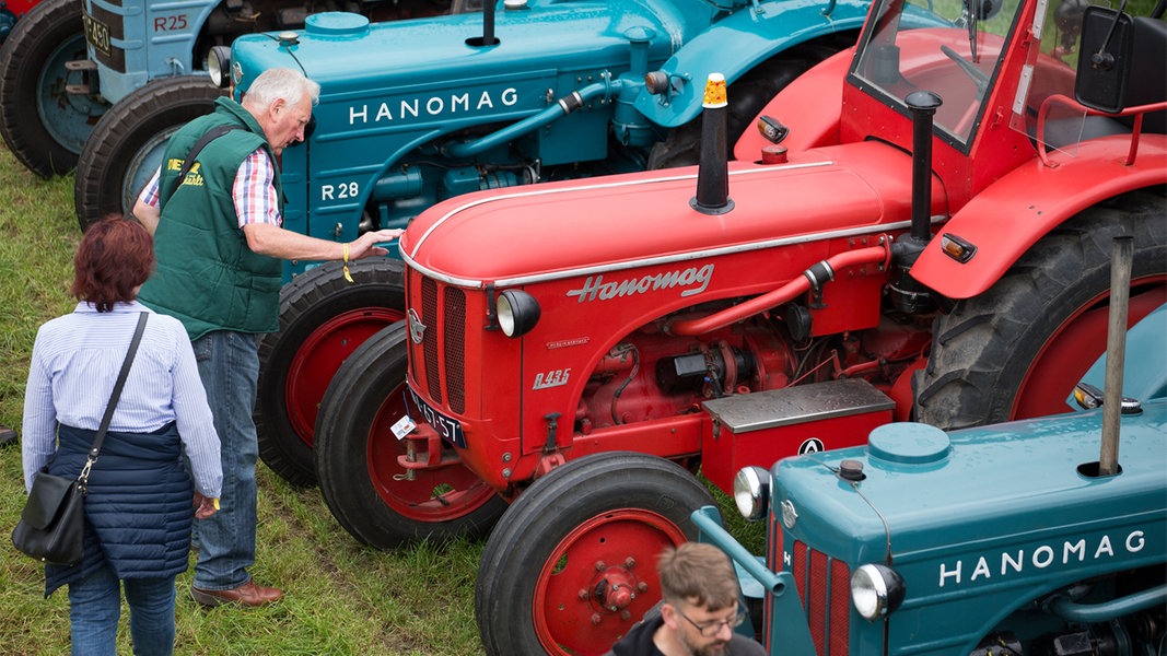 Landeserntedankfest in Stralsund: Gottesdienst und Oldtimer